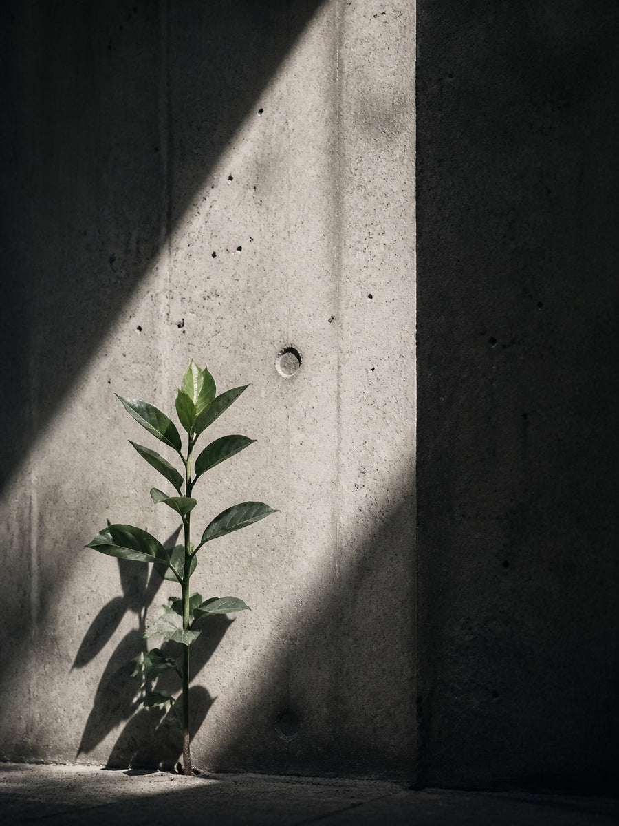 Green Concrete