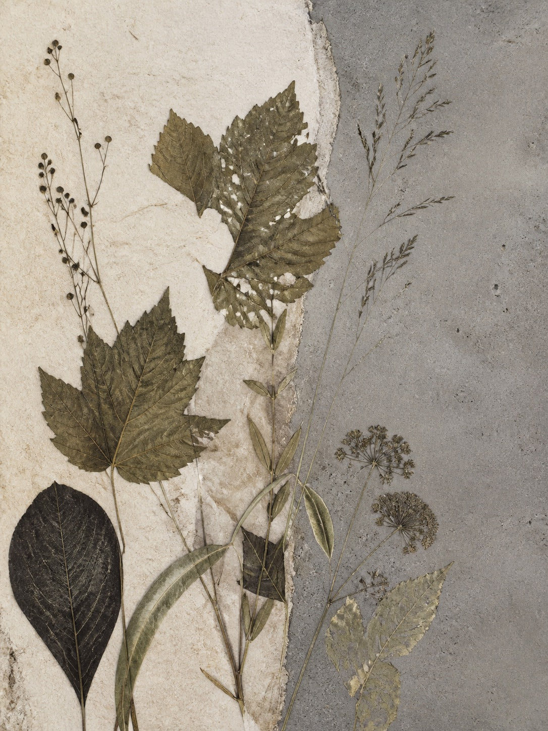 Herbier Brut