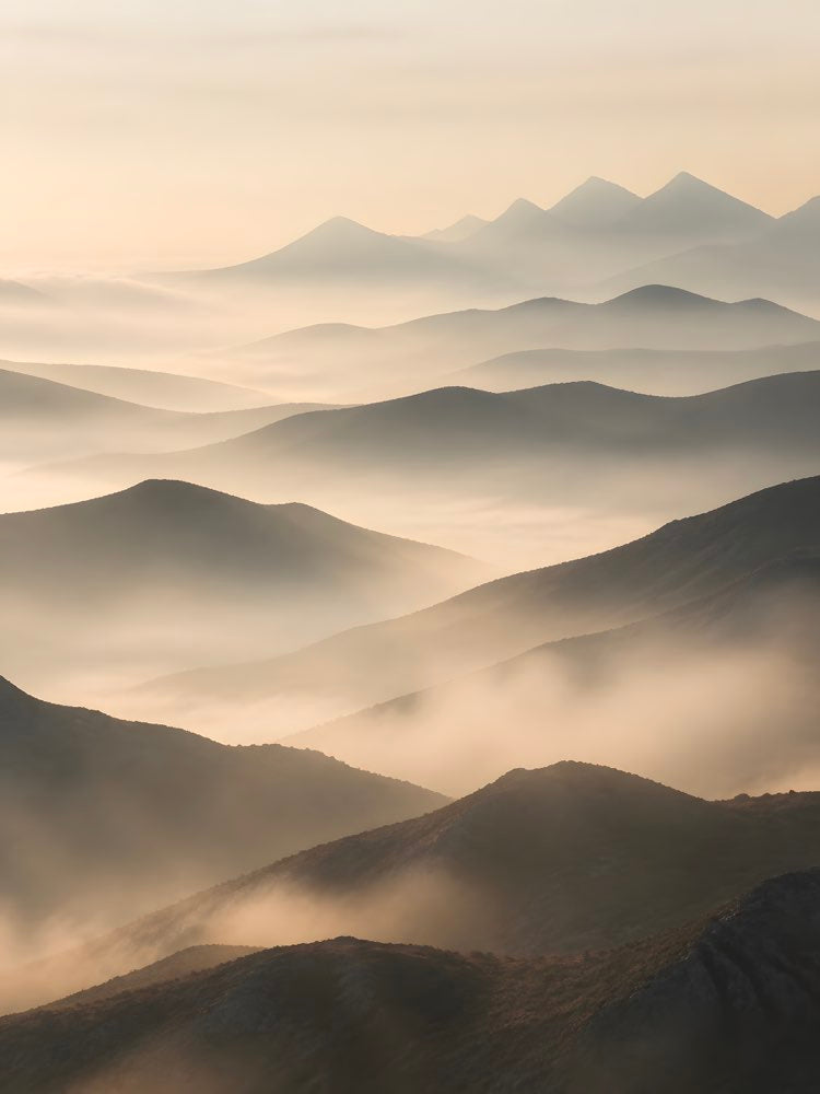 Morning Mist