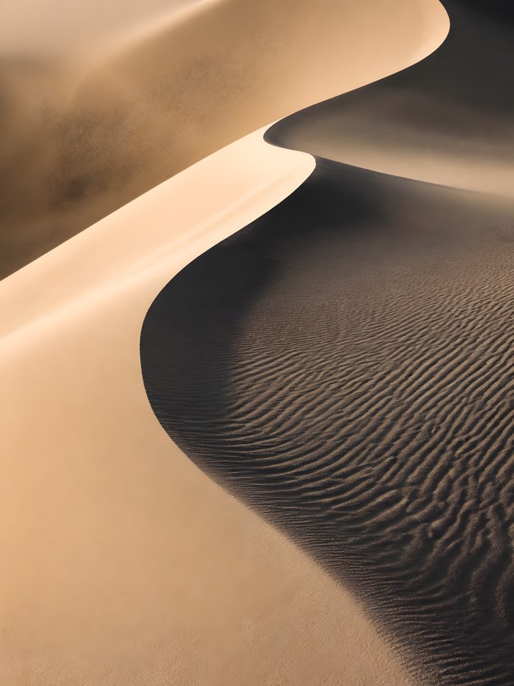 Dune