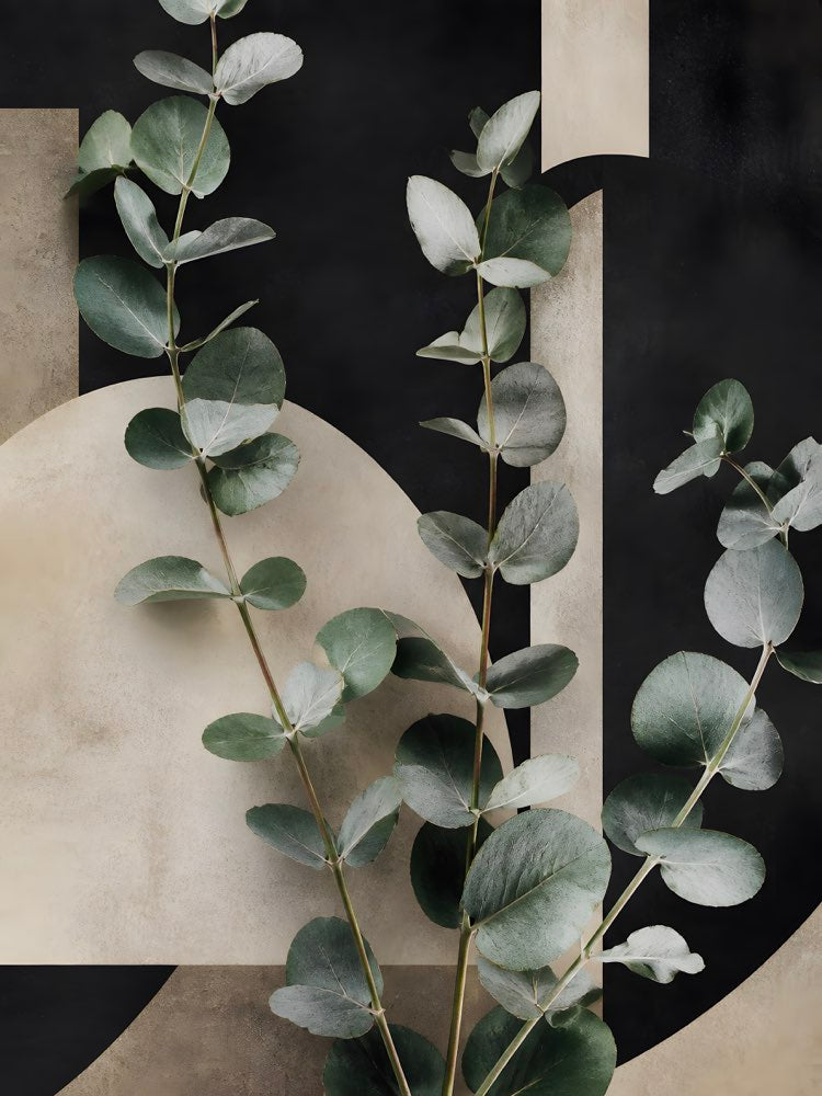 Eucalyptus