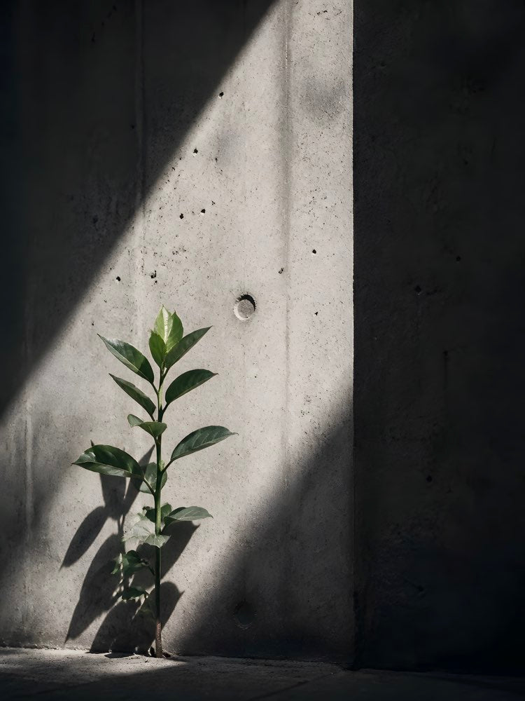 Green Concrete