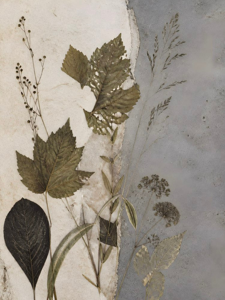 Raw Herbarium